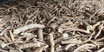 剖析干燥設(shè)備怎么選型？